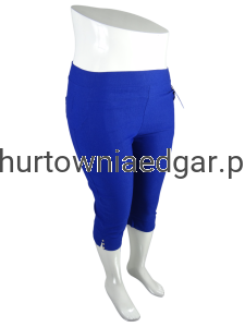 SPODNIE  DAMSKIE LYCRA   DASIRE  12 Szt.