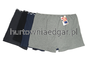 BOKSERKI  MĘSKIE  MAN TEGZ  12 Szt.